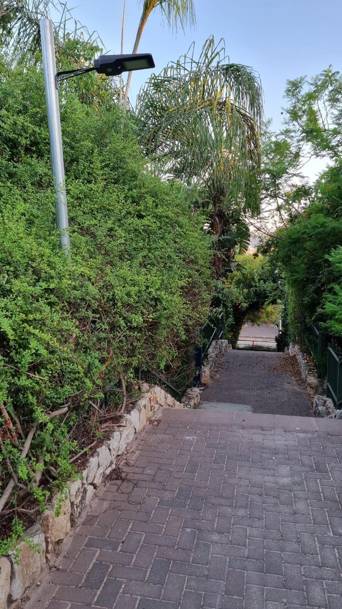 התקנת תאורה במשעול אלמוג