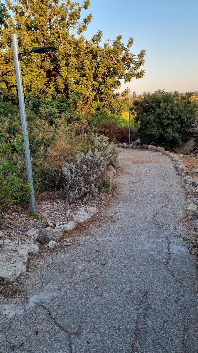 התקנת תאורה במשעול אלמוג