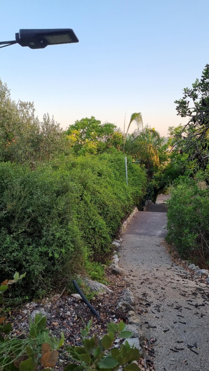 התקנת תאורה במשעול אלמוג