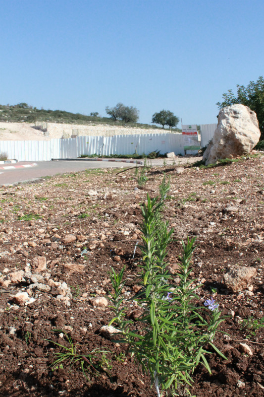 ערב מרקים 2013 160